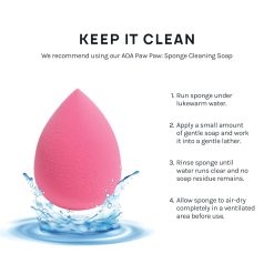 AOA Studio Collection Makeup Sponge Set – Buy Online at AbmarketX