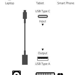Amazon Basics USB-C to USB-A Female Adapter Cable Converter – Buy Online at AbmarketX