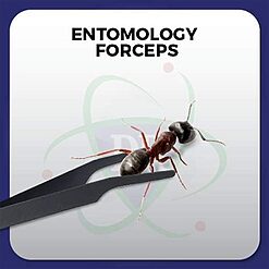 Featherweight Entomology Forceps with Long Precision Points - Image 6