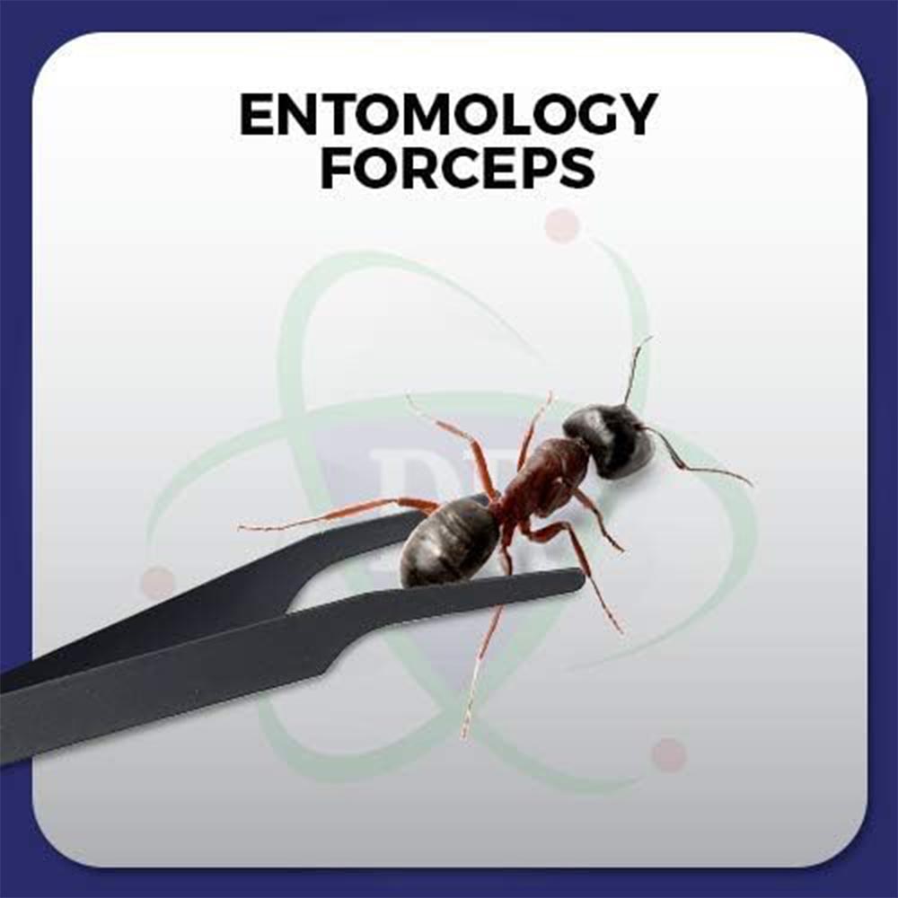 Featherweight Entomology Forceps with Long Precision Points - Image 6
